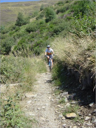 great trails, always a bit downhill, perfect!!!