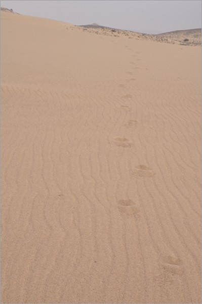 we hiked up the dunes - ignoring the strong winds