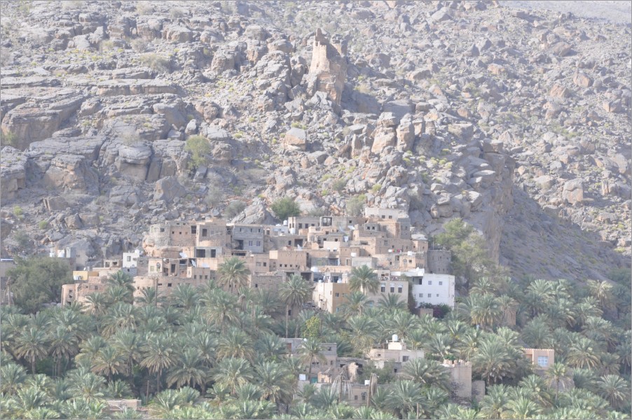 the village misfat al-abriyyin - in the middle of palmtrees