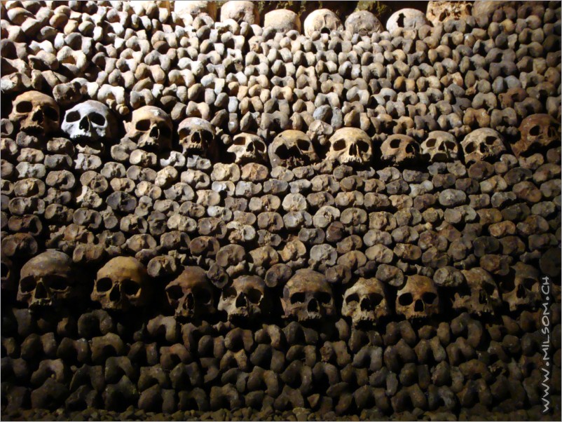 6'000'000 skeletons 20m below the grounds of paris...