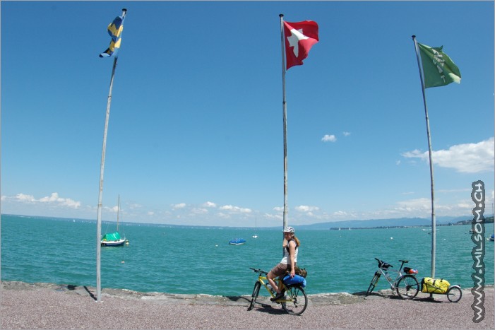 bodensee / lake of constance